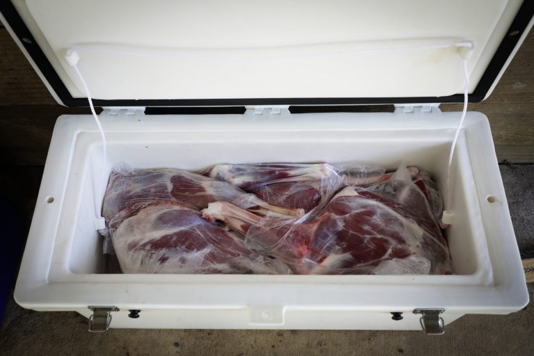 Can You Keep Deer Meat on Ice for Two Weeks?