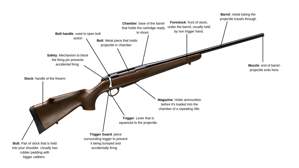 Parts Of A Hunting Rifle Images and Photos finder