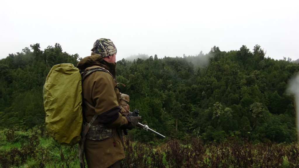 Hunting in the rain
